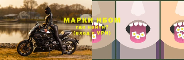 индика Богородицк