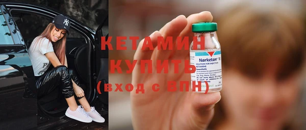 индика Богородицк