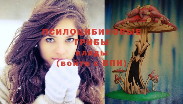 индика Богородицк