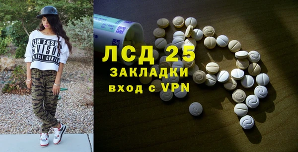 индика Богородицк