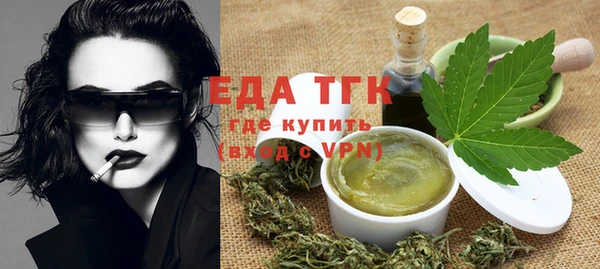 индика Богородицк