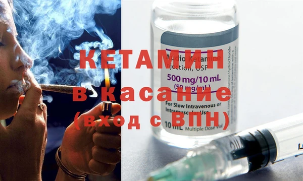 индика Богородицк