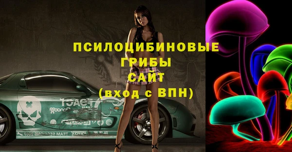 индика Богородицк