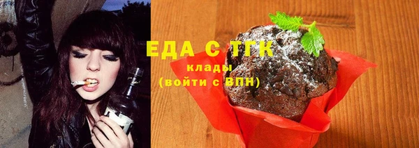 индика Богородицк