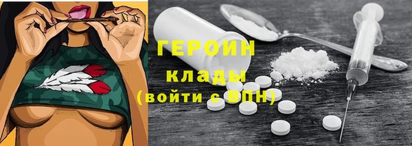 индика Богородицк