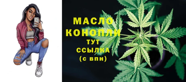 индика Богородицк