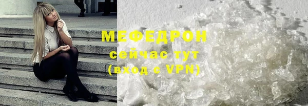 индика Богородицк